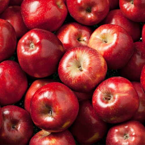9 lý do tại sao bạn nên ăn một quả táo mỗi ngày - Ảnh 1