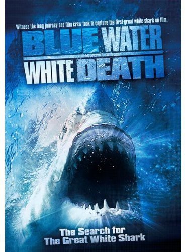 Top 10+ phim Cá mập hay nhất, kịch tính nhất năm 2022 !!! - Ảnh 2