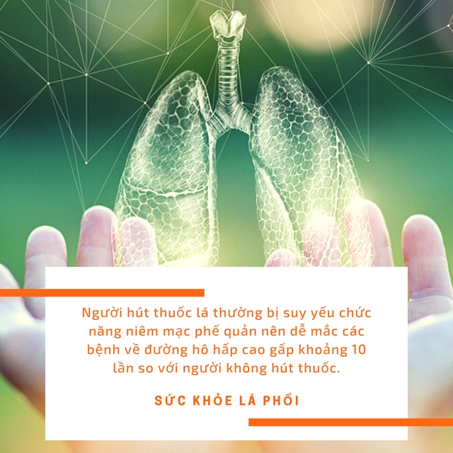 Loại rau bổ phổi tự nhiên, càng ăn nhiều càng thải độc phổi hiệu quả: Người hút thuốc rất cần biết - Ảnh 1
