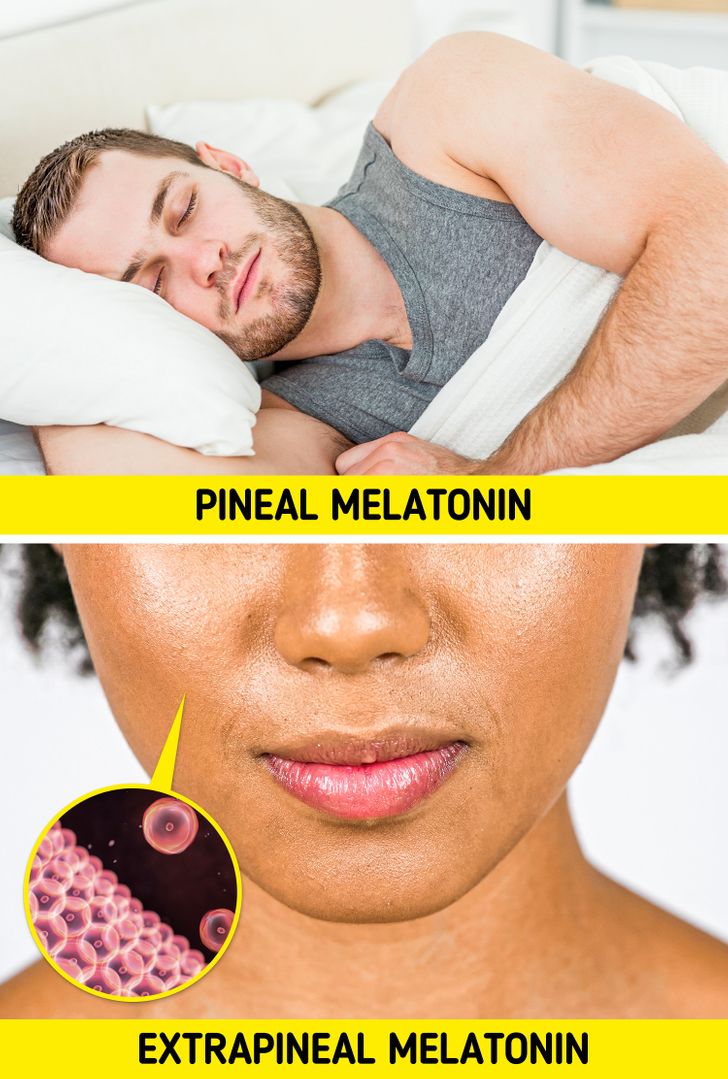 5 lý do khiến bạn khó lòng bỏ lỡ 'hormone giấc ngủ' Melatonin ngay hôm nay cho sự phát triển của cơ thể - Ảnh 1