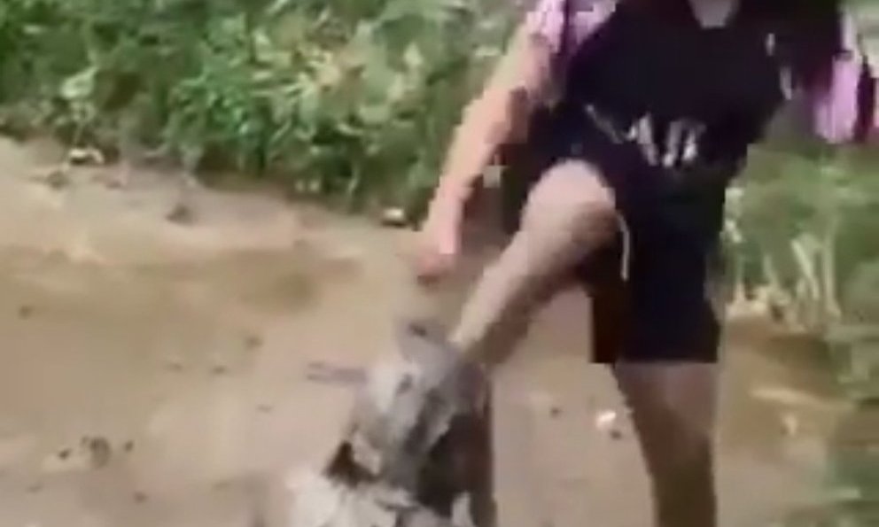 Thanh Hóa: Phẫn nộ nữ sinh cấp 2 nhấn bạn học xuống bùn, dùng mũ bảo hiểm đánh dã man - Ảnh 2