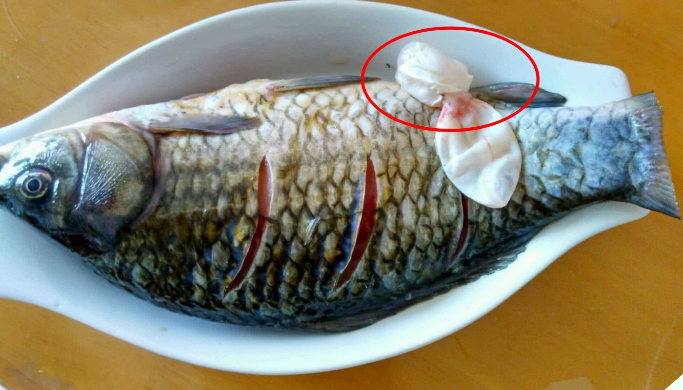3 bộ phận của cá được xem là đại bổ 'sánh ngang' nhân sâm, tốt cho sức khỏe: nhiều người thường vứt đi   - Ảnh 4