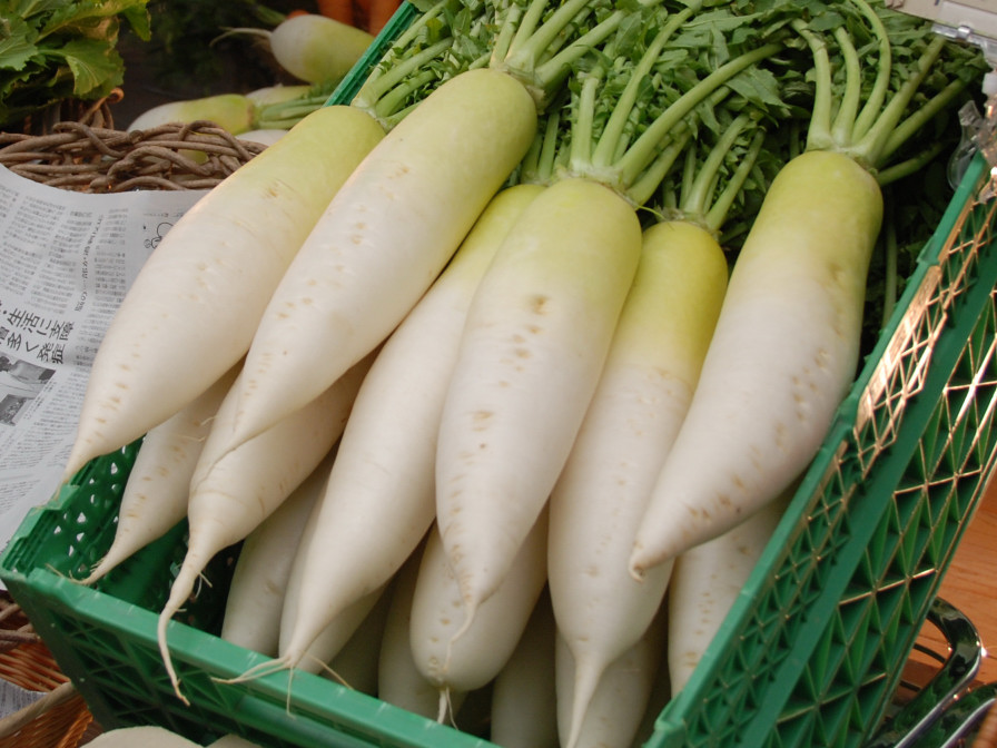 5 loại rau củ màu trắng cực tốt cho sức khỏe của bạn, chớ dại bỏ qua vì dễ tìm mà giá còn rẻ bất ngờ - Ảnh 1