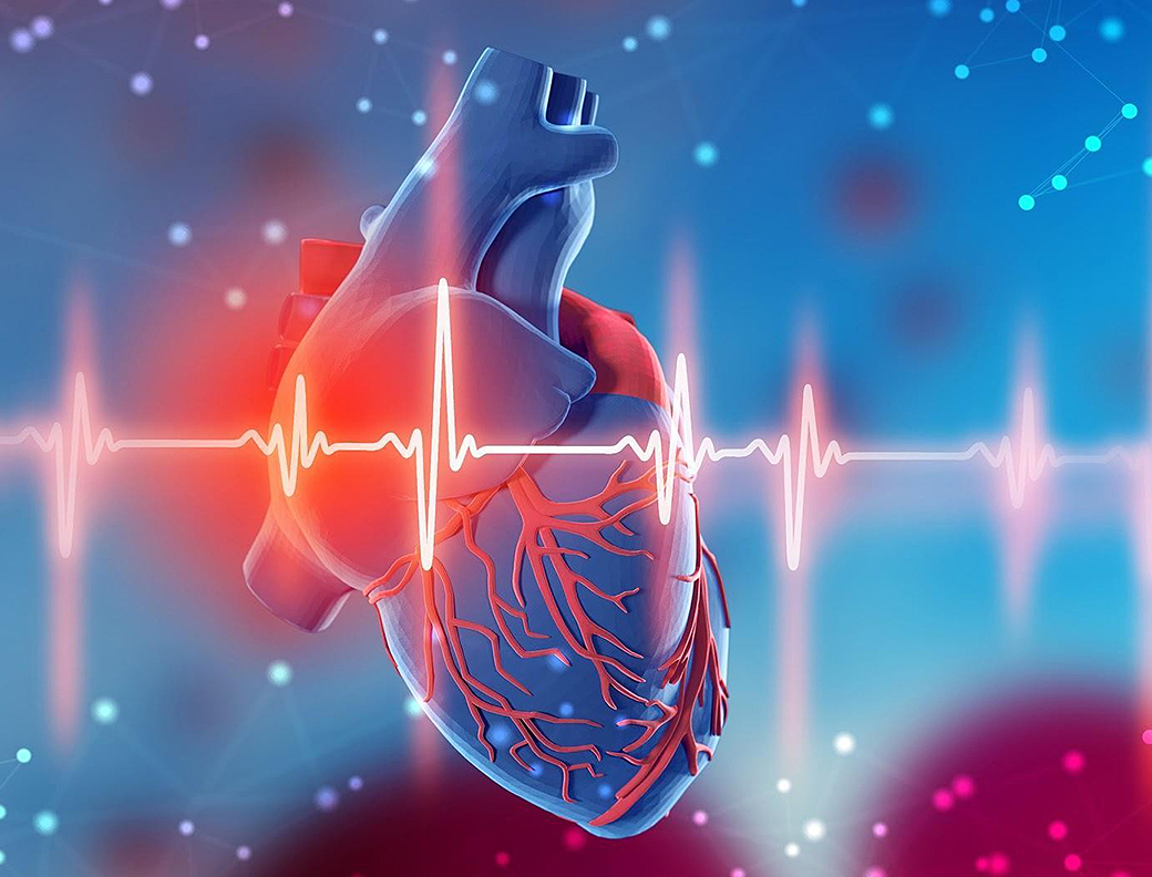 Lão hóa khiến trái tim chịu nhiều áp lực, từ xơ cứng đến huyết áp cao, gánh nặng chồng chất  - Ảnh 4
