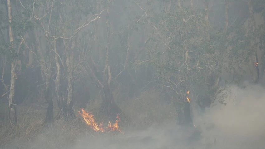 Nóng: Đang cháy lớn tại Vườn quốc gia Tràm Chim Đồng Tháp, cột khói cao hàng trăm mét, lửa bao trùm cả khu vực rừng tràm - Ảnh 2