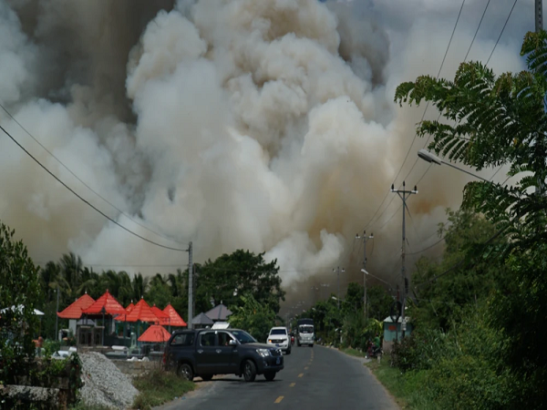 Nóng: Đang cháy lớn tại Vườn quốc gia Tràm Chim Đồng Tháp, cột khói cao hàng trăm mét, lửa bao trùm cả khu vực rừng tràm - Ảnh 1