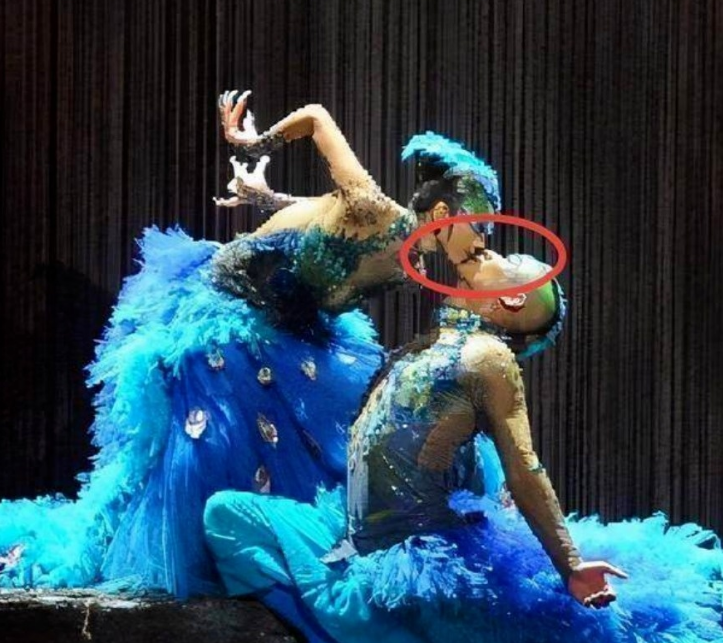 Điệu múa chim công của Dương Lệ Bình nhận 'gạch đá' vì động tác gợi dục khiến khán giả 'nóng mắt' - Ảnh 1