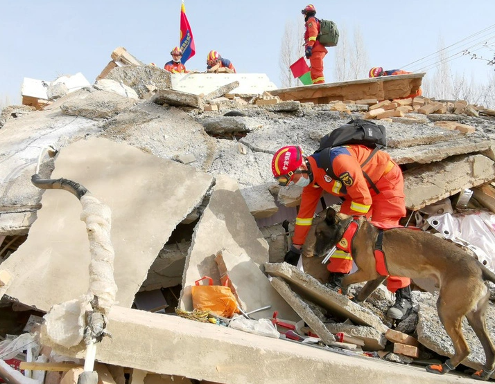 Động đất khiến hơn 120 người chết ở Trung Quốc: Giải mã hành động lạ lùng của động vật trước khi thảm họa ập đến - Ảnh 3