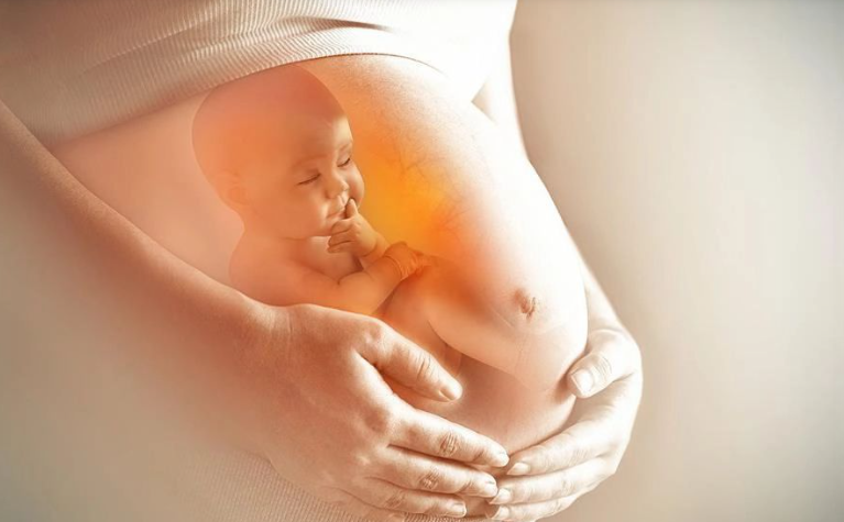 Nghiên cứu chỉ ra mối liên hệ bất ngờ giữa lão hóa nhau thai và bệnh cơ tim chu sinh  - Ảnh 2