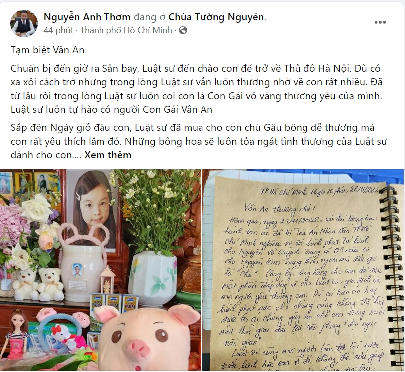 Luật sư Nguyễn Anh Thơm xúc động nói lời cuối tạm biệt bé Vân An, khép lại vụ án hành hạ trẻ em khiến dư luận phẫn nộ nhất trong hơn 1 năm qua  - Ảnh 2