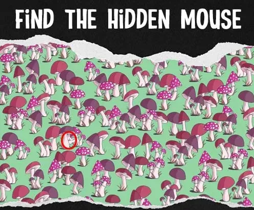 Câu đố: Tìm con chuột đang ẩn nấp trong khu rừng nấm, nếu phát hiện dưới 7 giây, bạn là người có đôi mắt của chim ưng - Ảnh 2