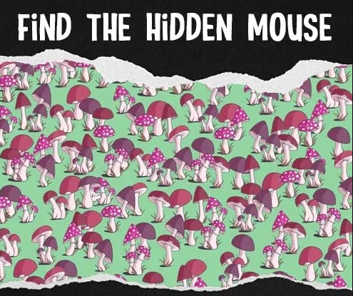 Câu đố: Tìm con chuột đang ẩn nấp trong khu rừng nấm, nếu phát hiện dưới 7 giây, bạn là người có đôi mắt của chim ưng - Ảnh 1
