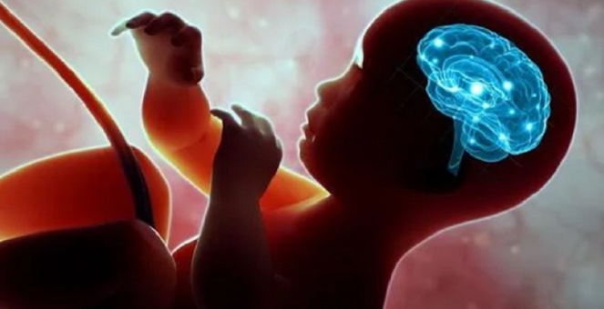 Nghiên cứu mới: Sự phân biệt đối xử trong thời kỳ mang thai tác động đến sự phát triển trí não của trẻ - Ảnh 2