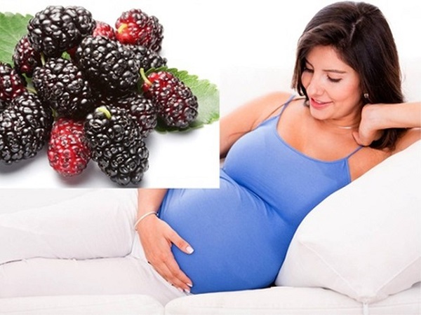 Dâu tằm và những công dụng tuyệt vời cho mẹ bầu và thai nhi trong bụng - Ảnh 1
