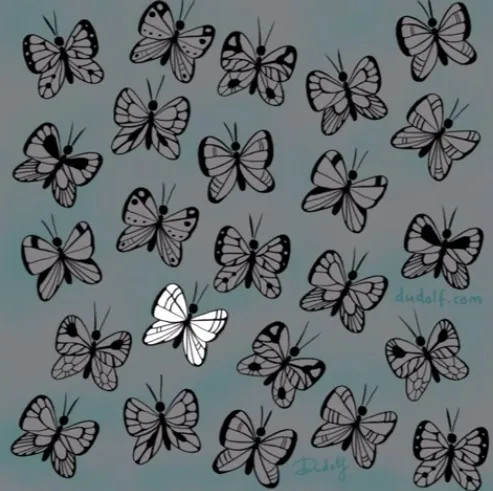 Chỉ thiên tài mới tìm ra đâu là con bướm khác biệt trong đàn - Ảnh 2