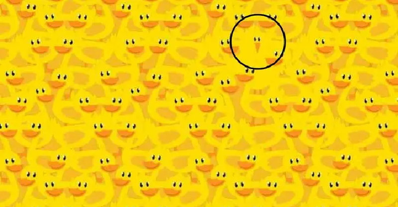 Thử thách tìm gà con trong 9 giây: Nếu làm được chứng tỏ bạn có đôi mắt nhạy bén và IQ cực cao - Ảnh 2