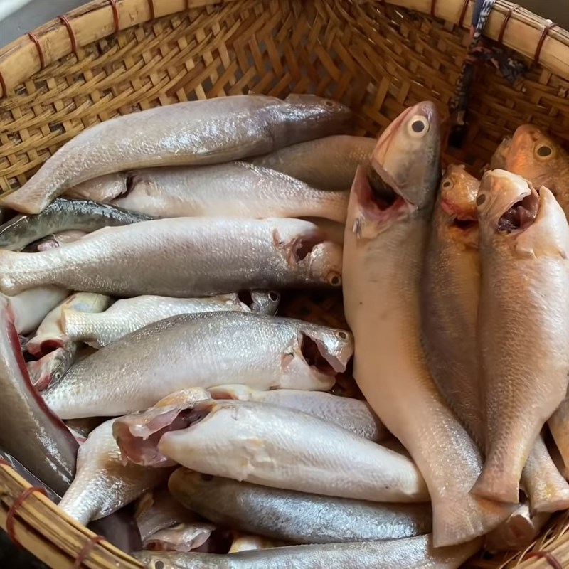 Điểm danh 5 loại cá được đánh bắt tự nhiên, chứa nhiều chất dinh dưỡng, chị em ra chợ có thấy thì mua ngay kẻo hối hận - Ảnh 1