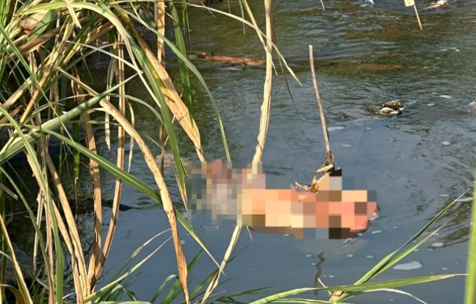 Giải cứu người đàn ông rơi xuống suối ở Lâm Đồng, trầm mình dưới nước suốt 5 ngày - Ảnh 2