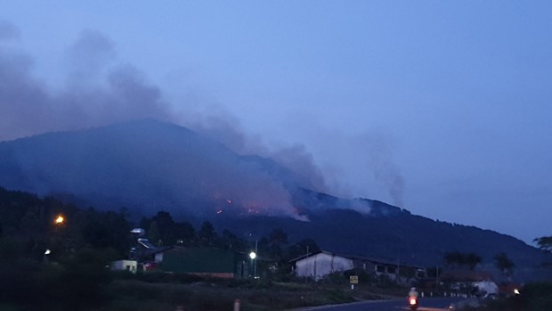 Lâm Đồng: Cháy rừng lớn ở núi Voi, lửa bốc cao, các cột khói bao trùm - Ảnh 1