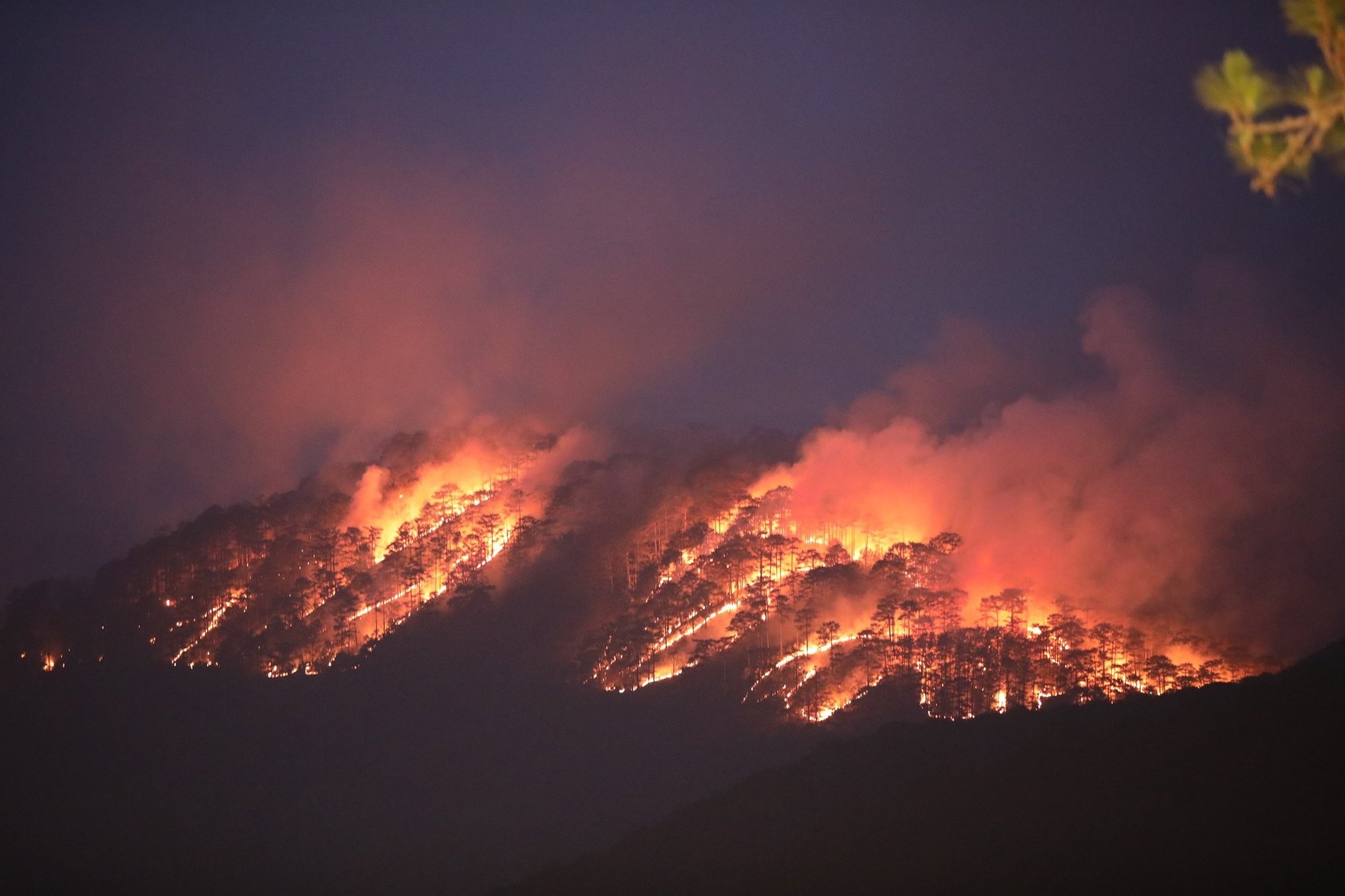Lâm Đồng: Cháy rừng lớn ở núi Voi, lửa bốc cao, các cột khói bao trùm - Ảnh 2