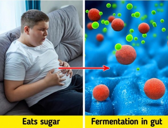 Điều gì sẽ xảy ra với cơ thể nếu bạn ngừng ăn đường hoàn toàn? - Ảnh 5