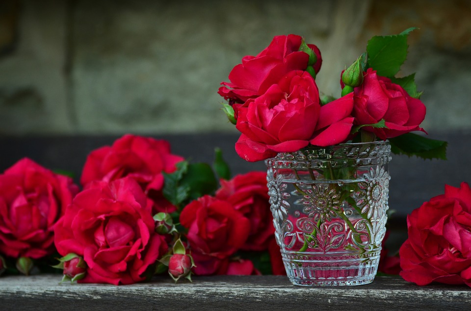 Tặng hoa hồng đỏ vào ngày Valentine
