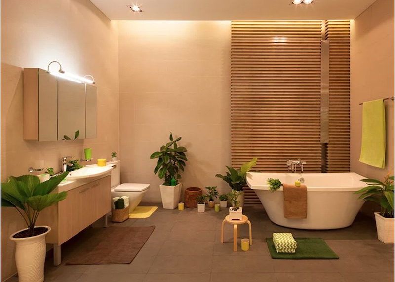 Top 6 loại cây trồng trong phòng tắm giúp đánh bay mùi hôi, làm sạch không khí, khử các chất độc hại - Ảnh 3