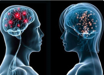Nghiên cứu mới chỉ ra thực phẩm siêu chế biến có tác động tiêu cực đến não - Ảnh 2