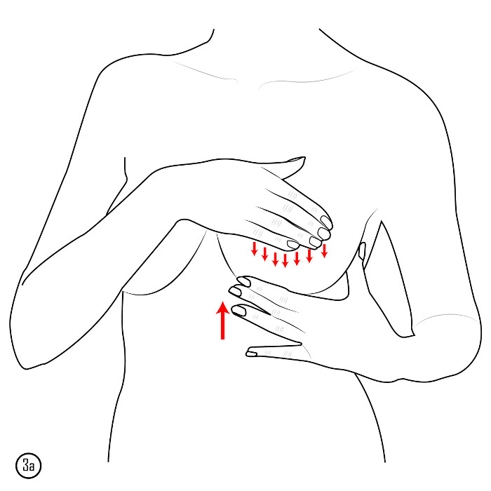 Đỡ ngực và vuốt theo chiều từ trên xuống dưới dọc theo tuyến sữa