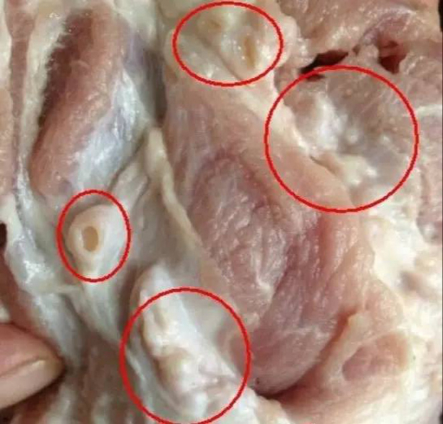 4 loại thịt cực kỳ độc hại gây bệnh tật nhưng rất phổ biến trên mâm cơm người Việt - Ảnh 4