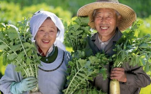 Thức uống bình dân giúp hạ đường huyết, kéo dài tuổi thọ mà người Nhật dùng mỗi ngày, ở Việt Nam bán rất nhiều lại rẻ - Ảnh 1