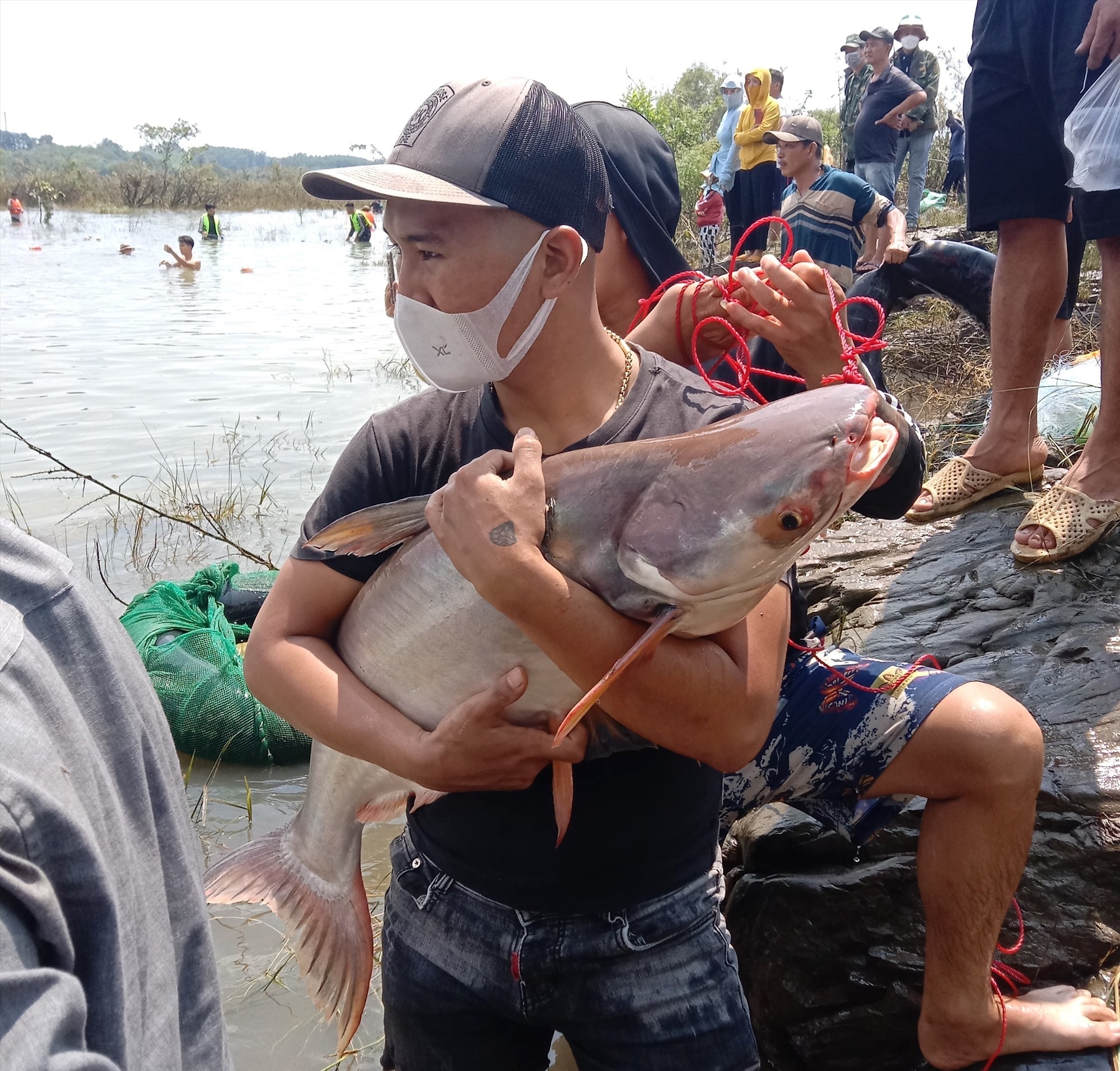 Đồng Nai: Hàng trăm người dân hồ hởi săn cá khủng, nhận 'lộc trời' nhờ thủy điện ngưng xả tràn - Ảnh 4
