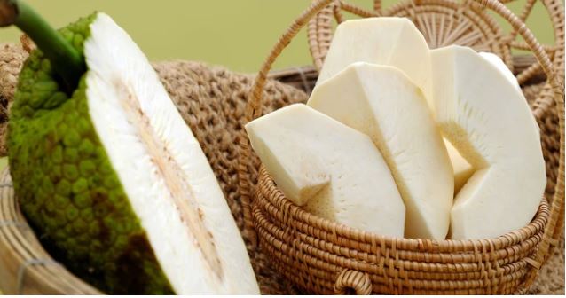 Việt Nam có loại quả 'bánh mì' tốt cho mắt, chống nhiễm trùng, giàu dinh dưỡng - Ảnh 2