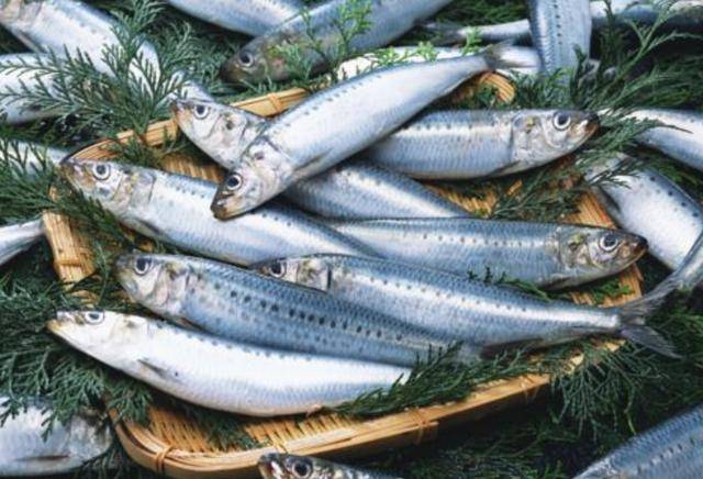 Khám phá kiểu ăn cá người Nhật yêu thích giúp giảm nguy cơ tử vong do mọi nguyên nhân một cách đáng kể - Ảnh 1