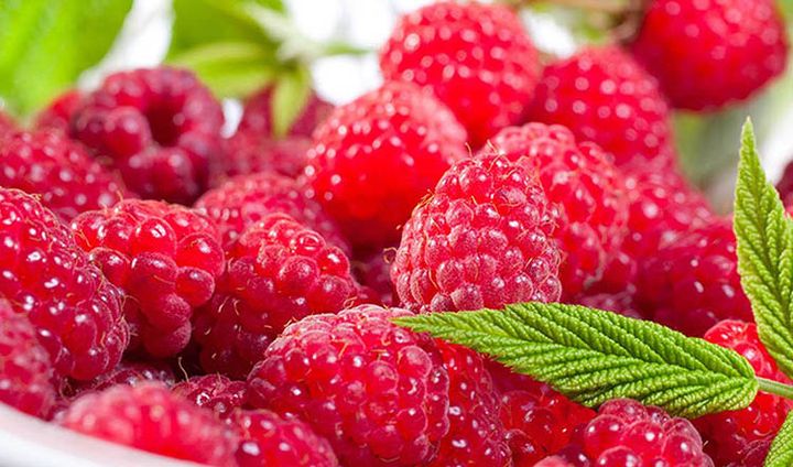 Loại trái cây sấy khô được mệnh danh là 'vua thuốc bổ' tự nhiên, ngâm trong nước uống mỗi ngày để lọc máu, tránh nhồi máu não - Ảnh 4