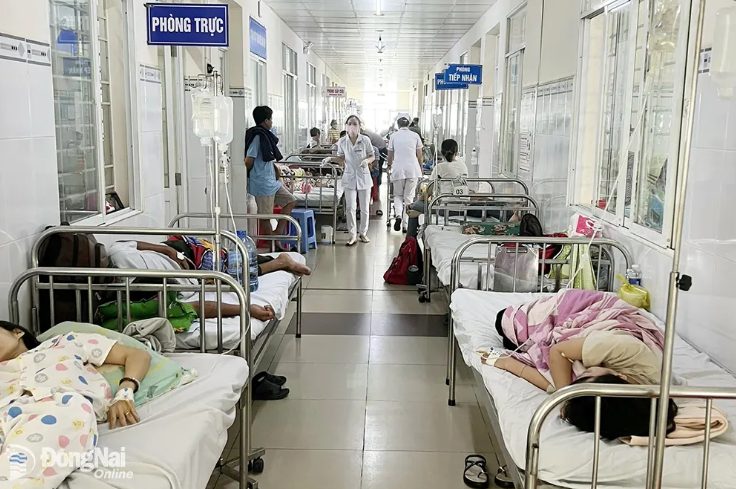 Vụ nghi ngộ độc sau khi ăn bánh mì tại Long Khánh: Số người nhập viện lên đến 209 ca - Ảnh 1