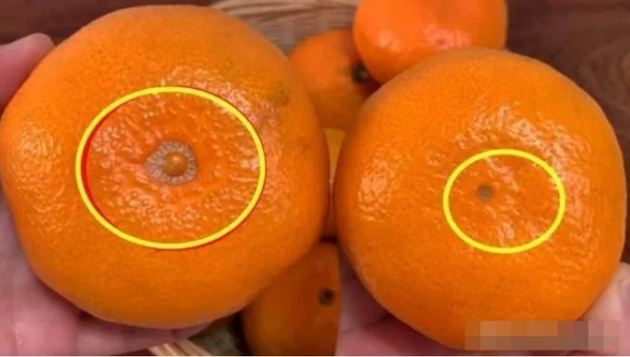 Chọn cam ngon ngọt nhờ biết 5 dấu hiệu bên ngoài có thể nhìn tận mắt - Ảnh 2