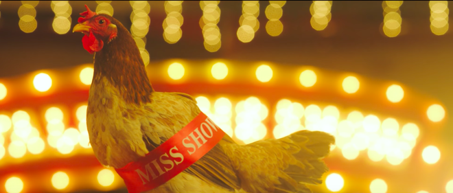 Chi Pu tiếp tục 'chơi lầy', đưa hình ảnh gà mái buộc dải băng 'Miss Showbiz' vào teaser MV đầy ẩn ý - Ảnh 1