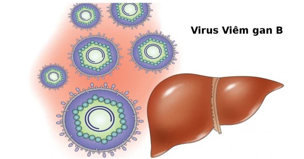 4 loại virus gây ung thư lây từ người sang người, 1 người mắc cả nhà phải đi khám gấp - Ảnh 1