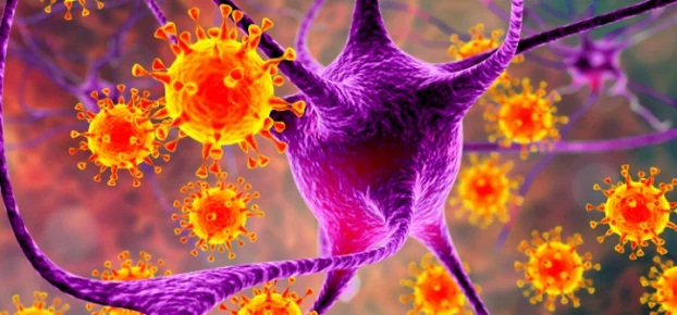 4 loại virus gây ung thư lây từ người sang người, 1 người mắc cả nhà phải đi khám gấp - Ảnh 2