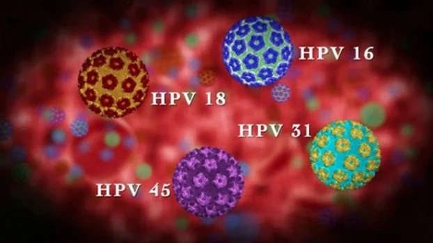 4 loại virus gây ung thư lây từ người sang người, 1 người mắc cả nhà phải đi khám gấp - Ảnh 3