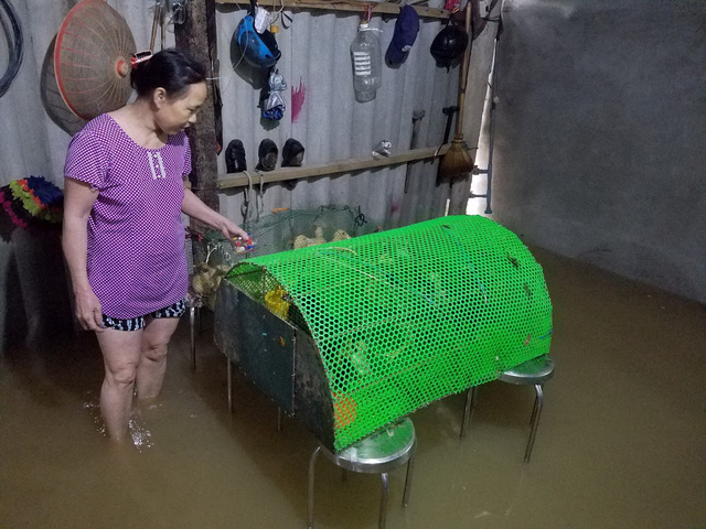 Thừa Thiên Huế: 5 người mất tích, bị thương, 1.100 nhà dân bị ngập lụt - Ảnh 4