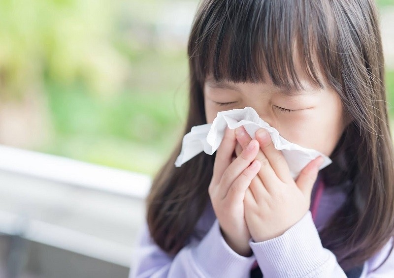 Nhận diện 3 loại cúm, virus phổ biến dễ mắc phải: Cúm gia cầm H5N1, cúm mùa và COVID-19 - Ảnh 3