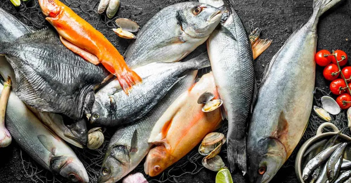 Rước họa vì ăn phải cá biển ướp hóa chất: Hướng dẫn cách chọn cá thơm ngon, không tẩm ure giúp bạn tăng cường sức khỏe cho cả gia đình  - Ảnh 2