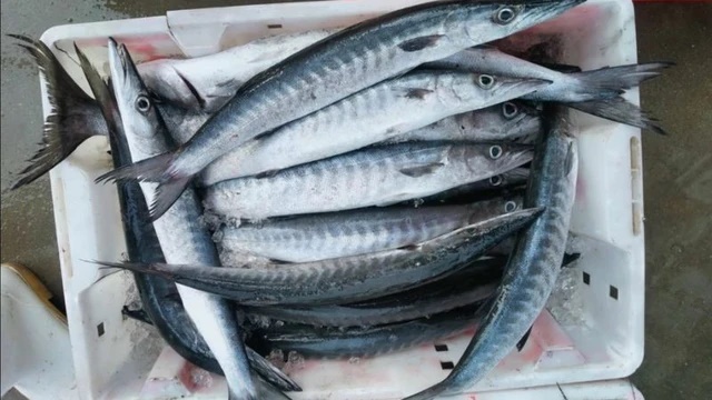 Rước họa vì ăn phải cá biển ướp hóa chất: Hướng dẫn cách chọn cá thơm ngon, không tẩm ure giúp bạn tăng cường sức khỏe cho cả gia đình  - Ảnh 3