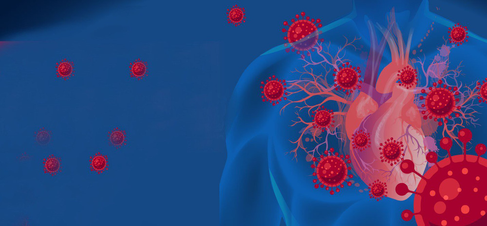 Không chỉ 'thích' phổi, SARS-CoV-2 còn tấn công nội mạc mạch máu - Ảnh 2