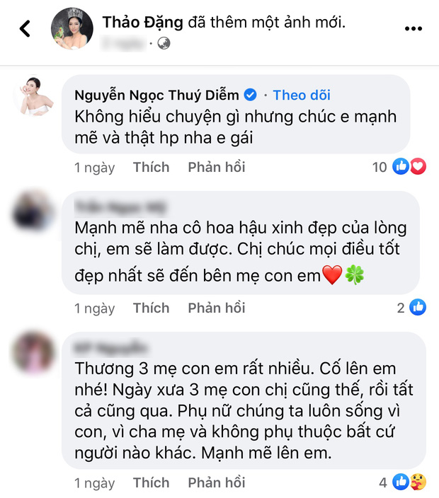 Rầm rộ tin Hoa hậu Đặng Thu Thảo ly hôn với ông xã doanh nhân - Ảnh 2