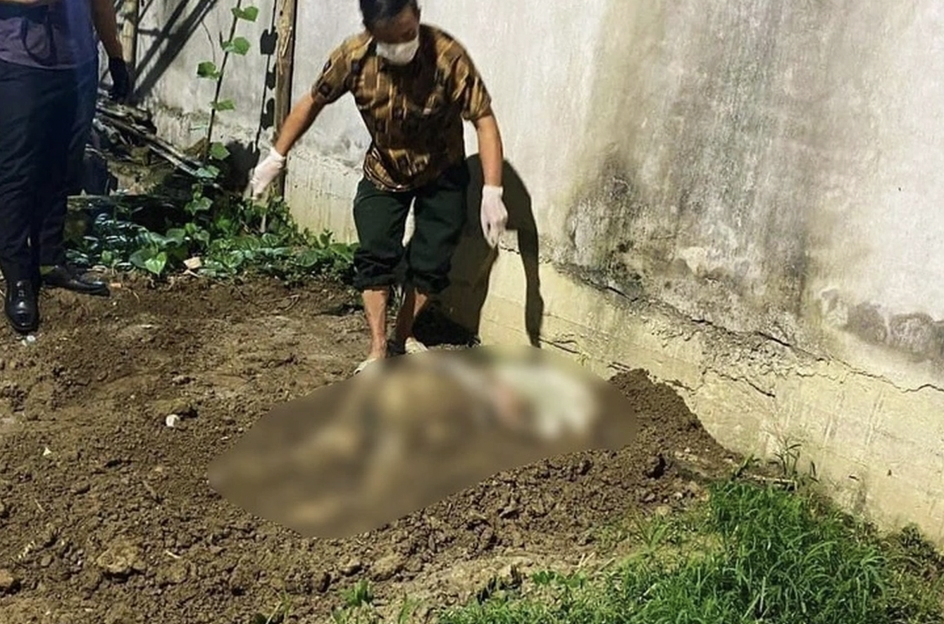 Nam sinh 15 tuổi ở Hải Phòng giết bạn gái, chôn xác trong vườn: Phạt tù không quá 12 năm  - Ảnh 1
