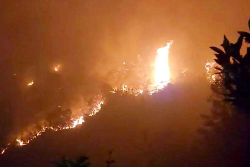Hai kiểm lâm viên tử vong thương tâm khi chữa cháy rừng Tây Côn Lĩnh - Ảnh 1