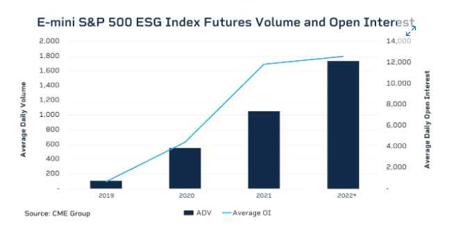 Đầu tư ESG: Thế giới đang sôi sục, nhà đầu tư Việt đã hiểu đến đâu? - Ảnh 4